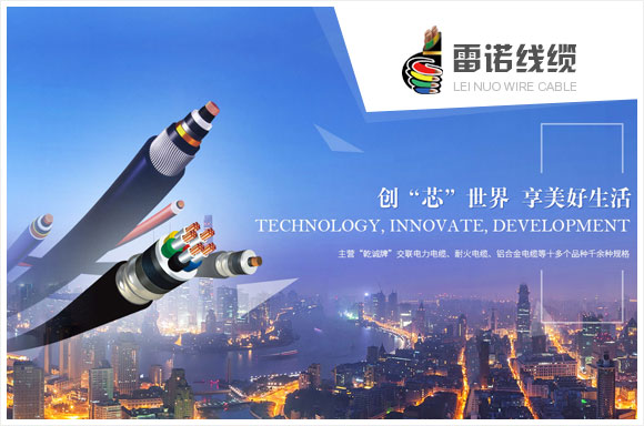 衡水雷诺线缆有限公司
