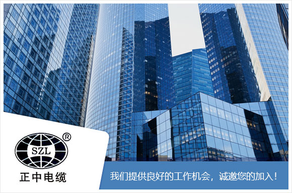 上海正中电缆制造有限公司