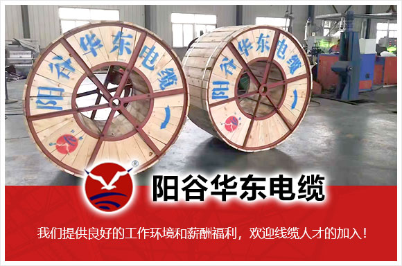 阳谷华东特种电缆有限公司