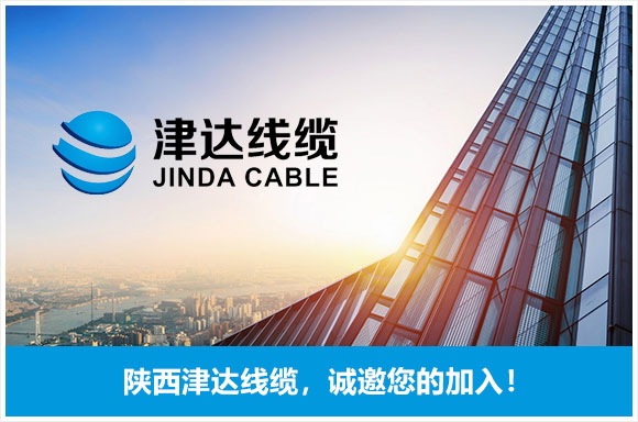 陕西津达线缆制造有限公司