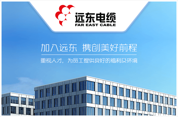 远东电缆有限公司