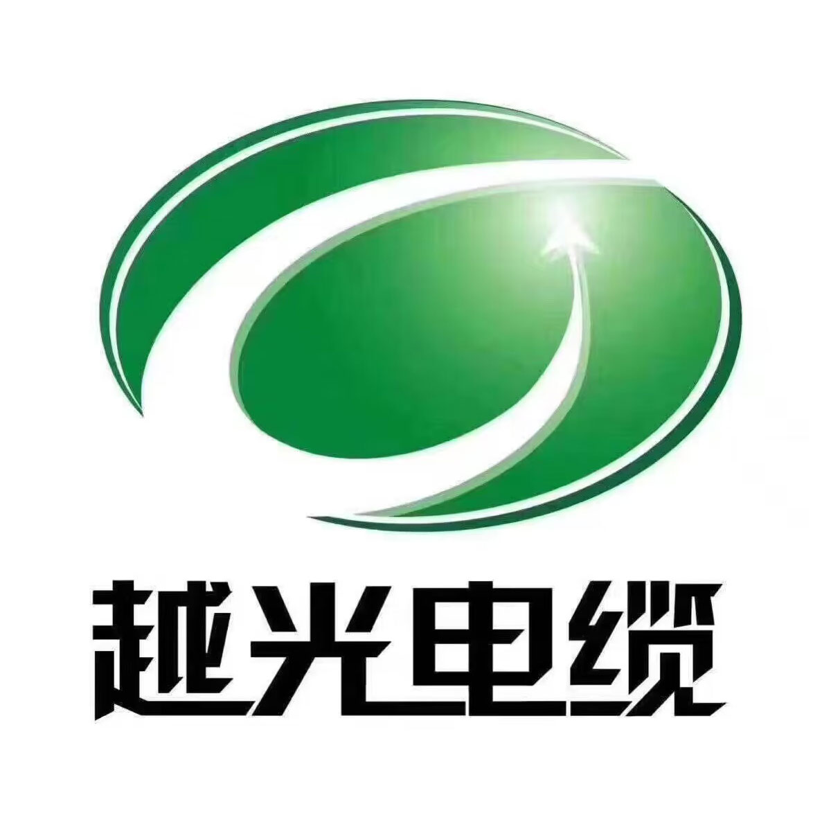 江西省越光电缆股份有限公司LOGO