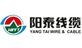 湖南省阳泰电线电缆有限公司