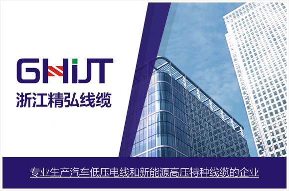 浙江精弘线缆股份有限公司