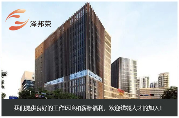 深圳市泽邦荣科技有限公司