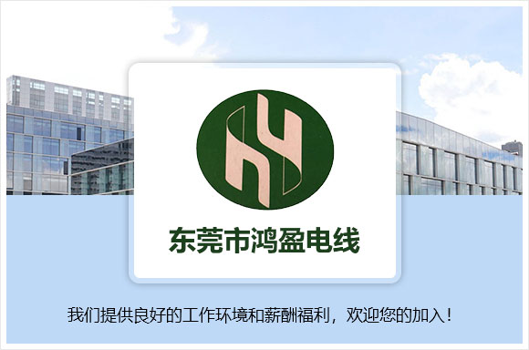 东莞市鸿盈电线有限公司
