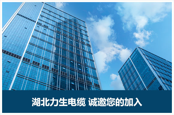 湖北力生电缆有限公司