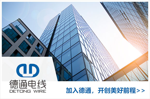广东德通电线有限公司