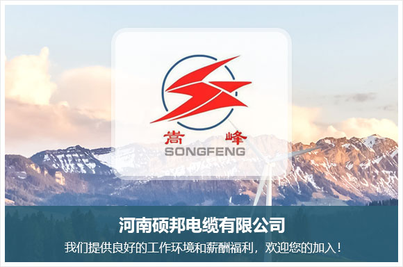 河南硕邦电缆有限公司