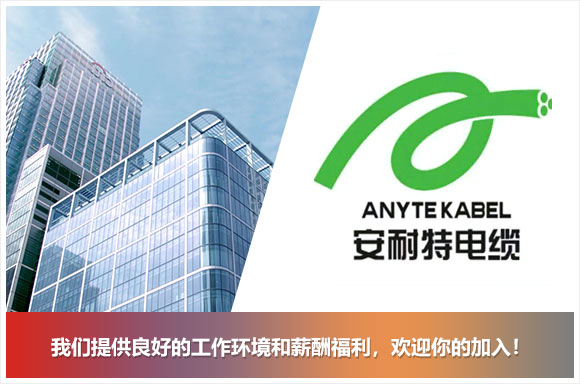 常州安耐特电缆有限公司