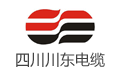 四川川东电缆有限责任公司