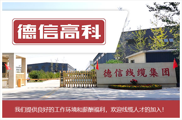 德信线缆集团有限公司