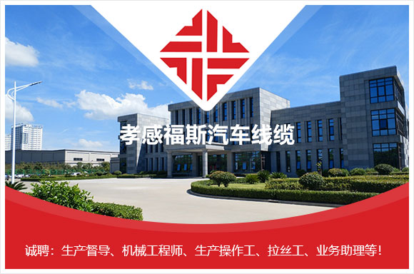 孝感福斯汽车线缆有限公司