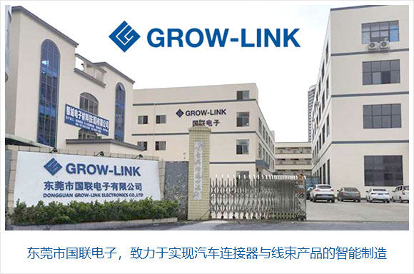 东莞市国联电子有限公司