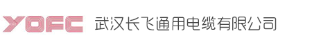 武汉长飞通用电缆有限公司
