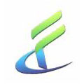 东莞晨丰电子电线科技有限公司LOGO