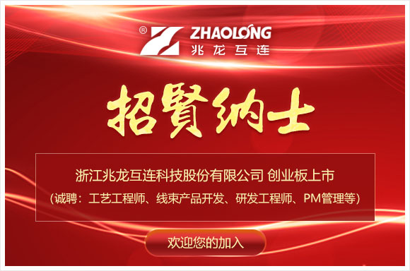 浙江兆龙互连科技股份有限公司