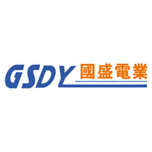 深圳市国盛电业发展有限公司LOGO