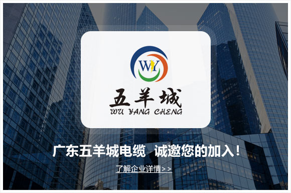 广东五羊城电缆有限公司