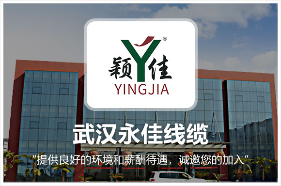武汉永佳电线电缆有限公司