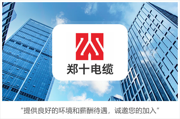 河南郑十实业有限公司