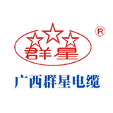 广西群星电缆有限公司