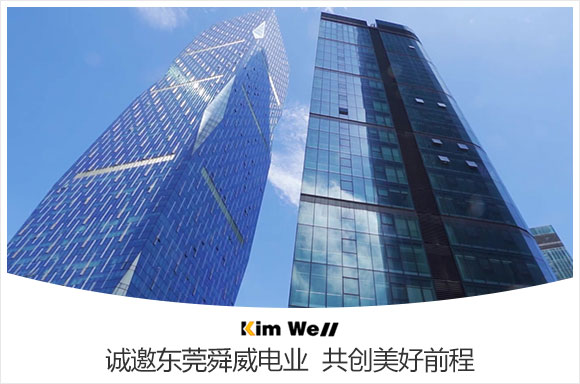 东莞舜威电业有限公司