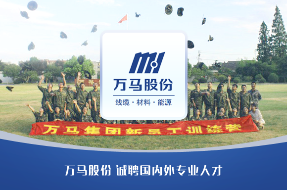 浙江万马股份有限公司