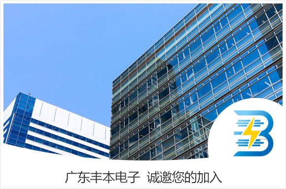 广东丰本电子有限公司