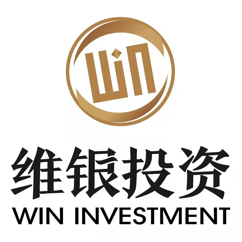 厦门维银投资有限公司LOGO