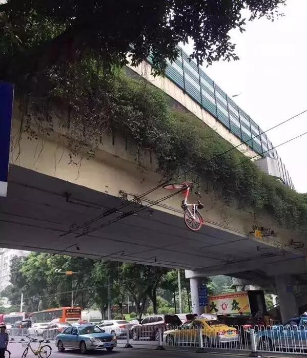 共享单车被丢挂线缆