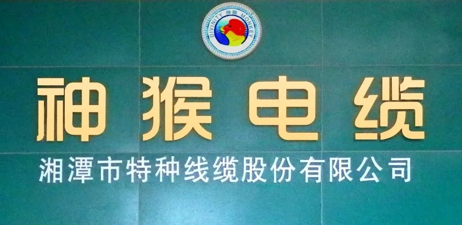 湘潭市特种线缆股份有限公司